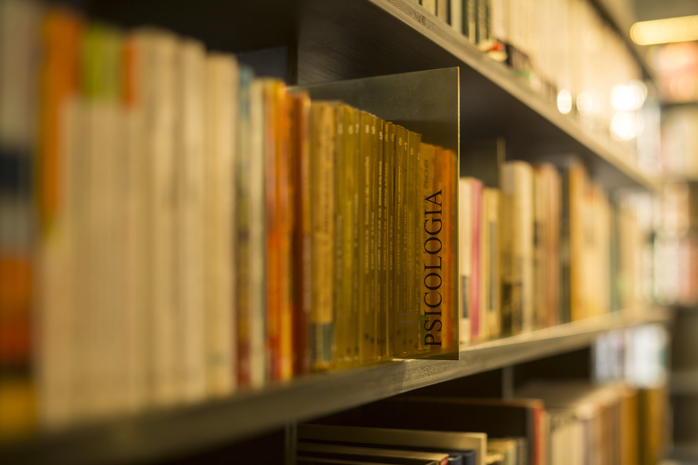 São Paulo Library